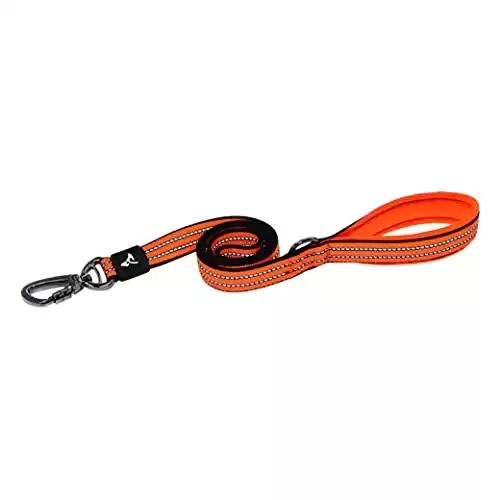 KRUZ PET Heavy Duty Click Leash