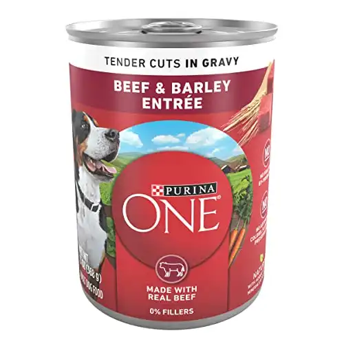 Purina ONE SmartBlend Tender Cuts in Gravy