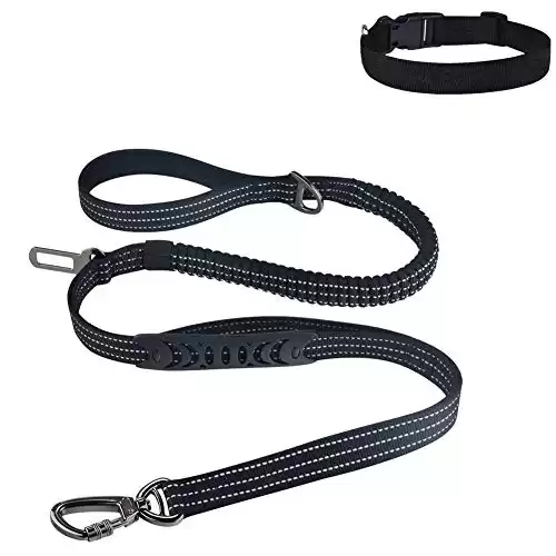 Misthis Bungee Dog Leash