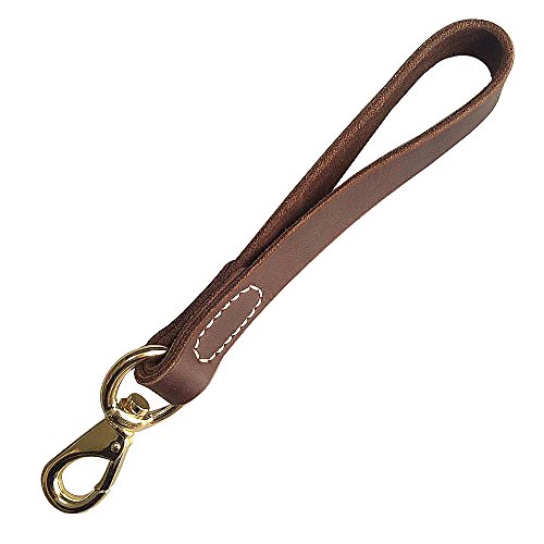 FAIRWIN Leather Short Dog Leash 12' - Short Dog Traffic Lead Leash for Large Dogs Training and Walking (Width: 3/4') (Brown-New)