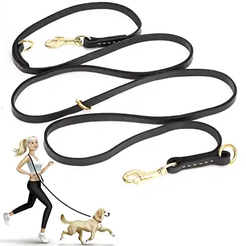 Guiding Star Multi-Function Dog Leash