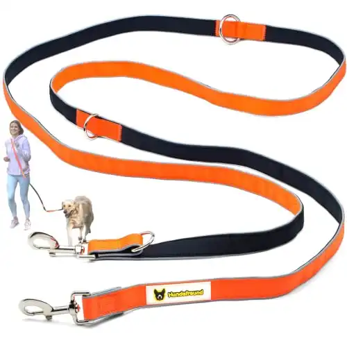 Hundefreund Multifunctional Dog Leash