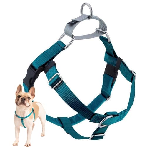 2 Hounds Design Freedom No Pull Dog Harness | Comfortable Control for Easy Walking | Adjustable Dog Harness | Small, Medium & Large Dogs | Made in USA | Solid Colors | 1' MD Teal