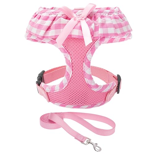 EXPAWLORER Soft Mesh Dog Harness and Leash Set - Pink Dog Harness, No Choke Step-in Adjustable Cute Dog Harness, Breathable Lightweight Vest Harness for Puppy Dogs Cats Outdoor Walking, X-Small