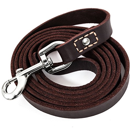 Leatherberg Leather Dog Training Leash - Brown 6 Foot x 3/4' Dog Walking Leash Best for Medium Large Dogs, Latigo Leather Dog Lead & Puppy Trainer Leash