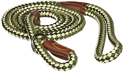 Coastal Pet Products DCPR0216GRW06 Nylon Remington Rope Slip Dog Leash, 6-Feet, Green/White