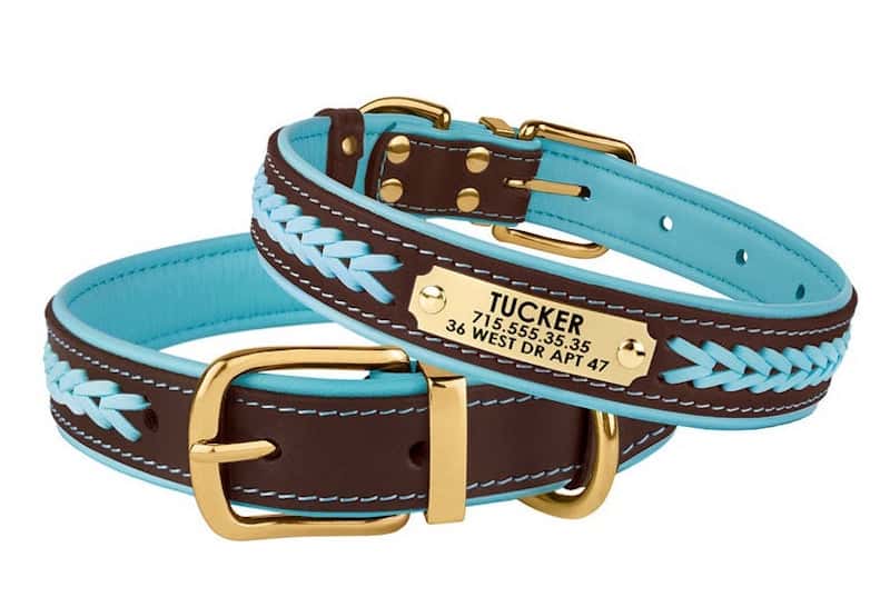 Braided Leather Dog Collar