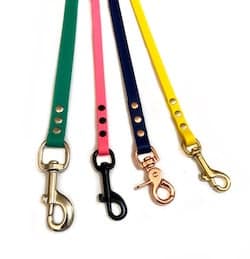 Custom Biothane Dog Leash