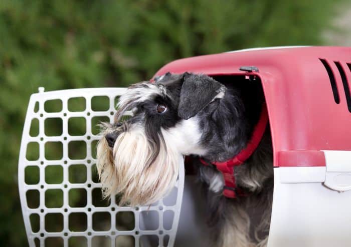 Good Puppy Crates