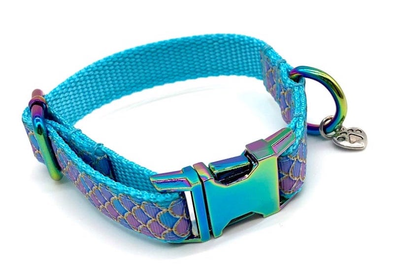 Mermaid Dog Collar