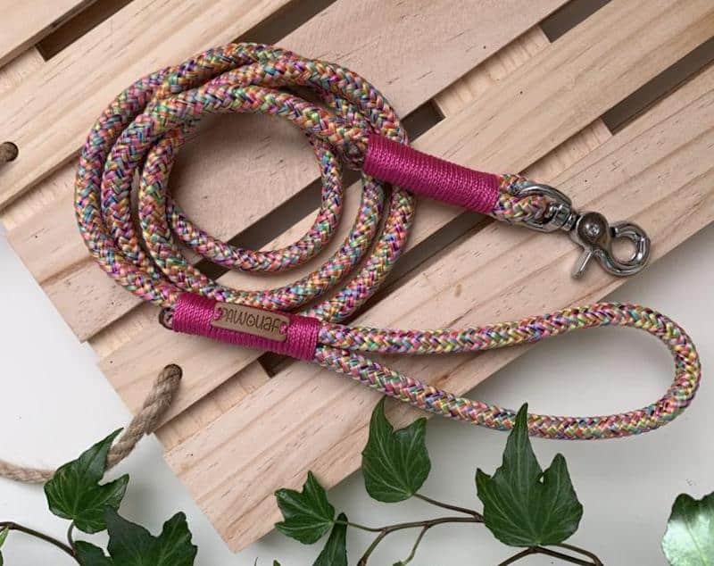 Multicolor Paracord Dog Leash