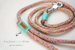 Multicolor Paracord Dog Leash