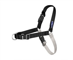 PetSafe Easy Walk Dog Harness