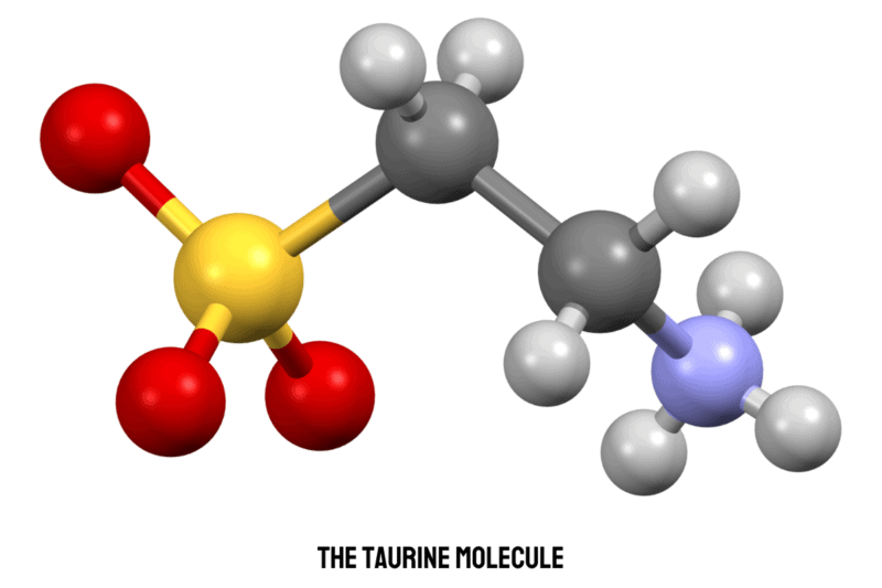 what is taurine