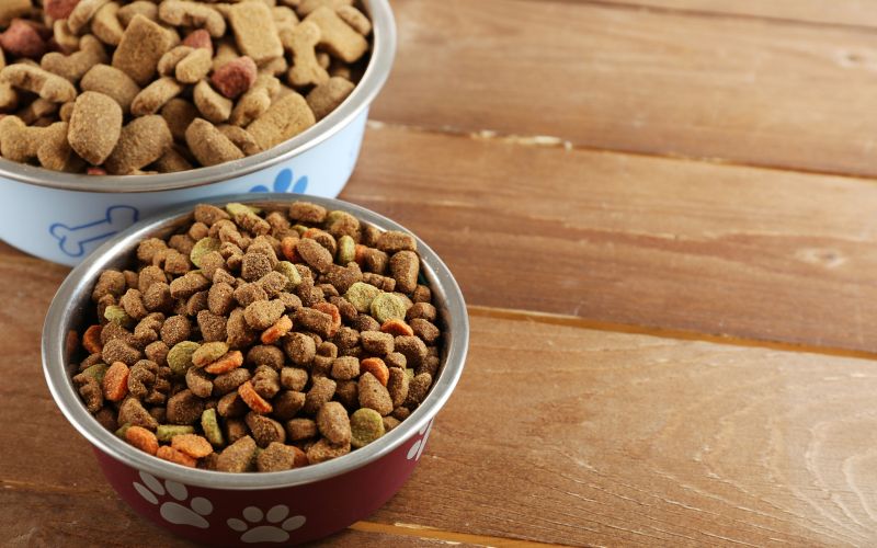 Two bowls of different dog food