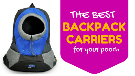 best backpack carriers for your dog