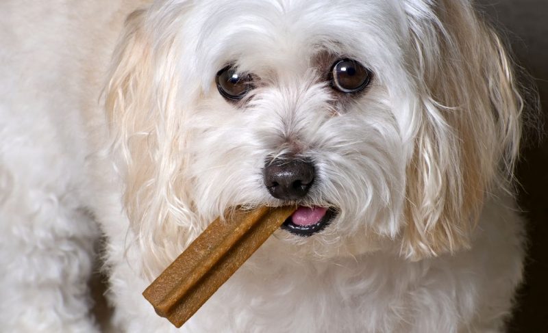 good fiber treats for dogs