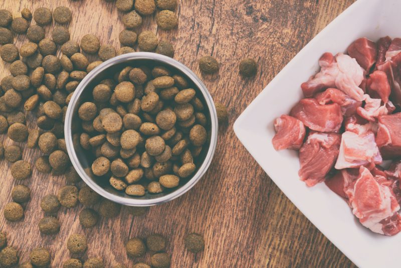 best holistic dog food