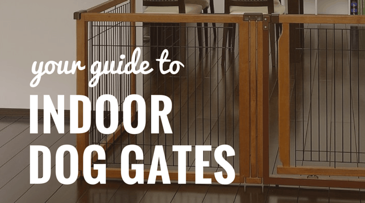 best indoor dog gates