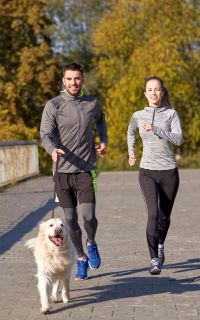 dog exercise is important for wellness