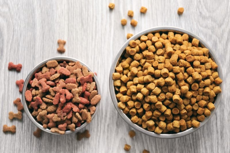 dog food storage