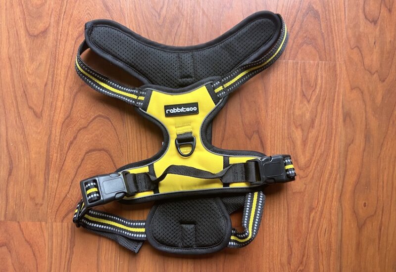 rabitgoo harness