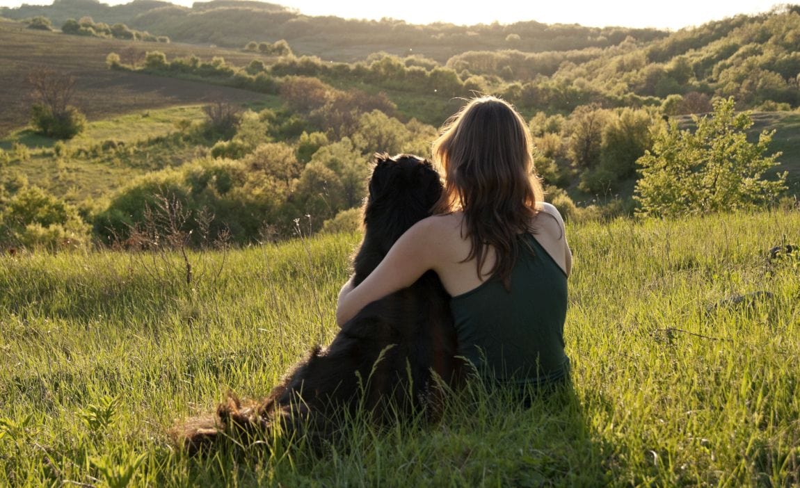 Names for Dogs Meaning Friend