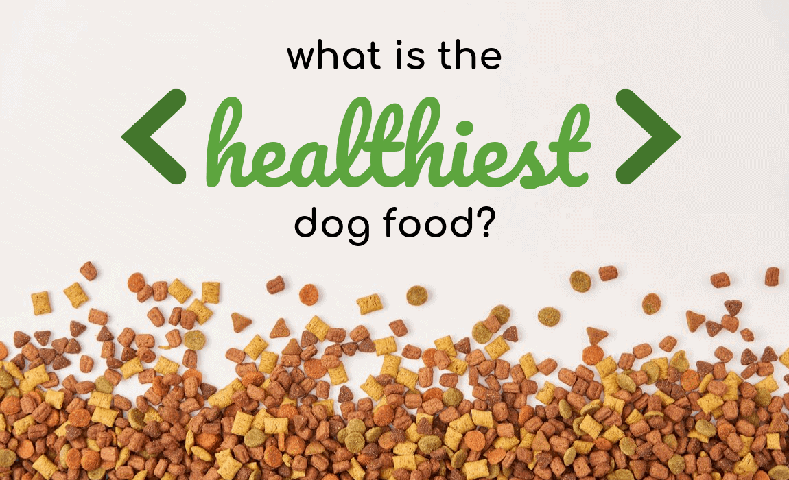 healthiest-dog-food