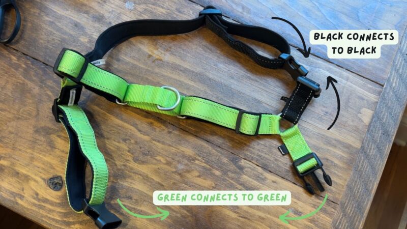 petsafe easy walk harness