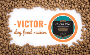 victor dog food