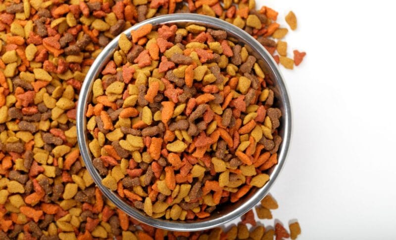 what is a hydrolyzed dog food