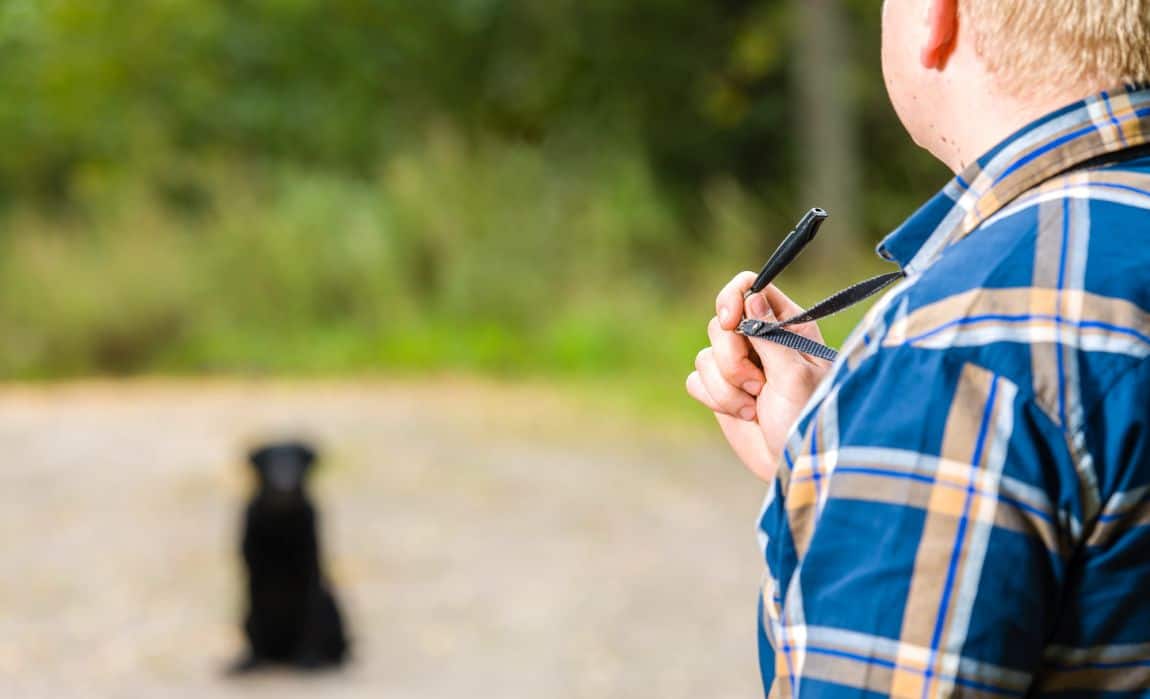 how to whistle train a dog