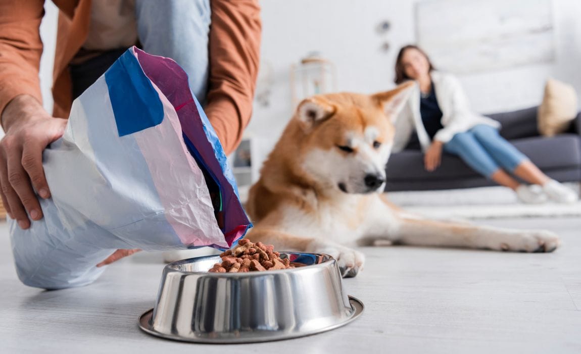 what is the worst dog food